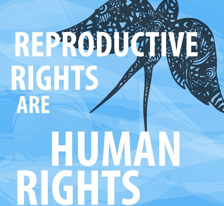 Reproductive rights are human rights reads the text overlaid on a blue background with a black bird in the upper right corner 