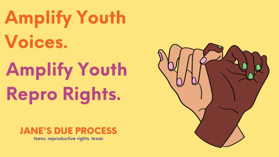 Young People In Texas Have Your Voice Amplified Janes Due Process 